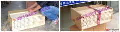 鳥兒航空運(yùn)輸
