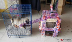 成都中華田園犬航空托運(yùn)